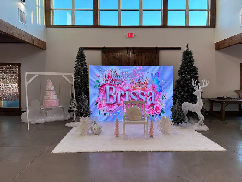 Quinceañera de Brissa